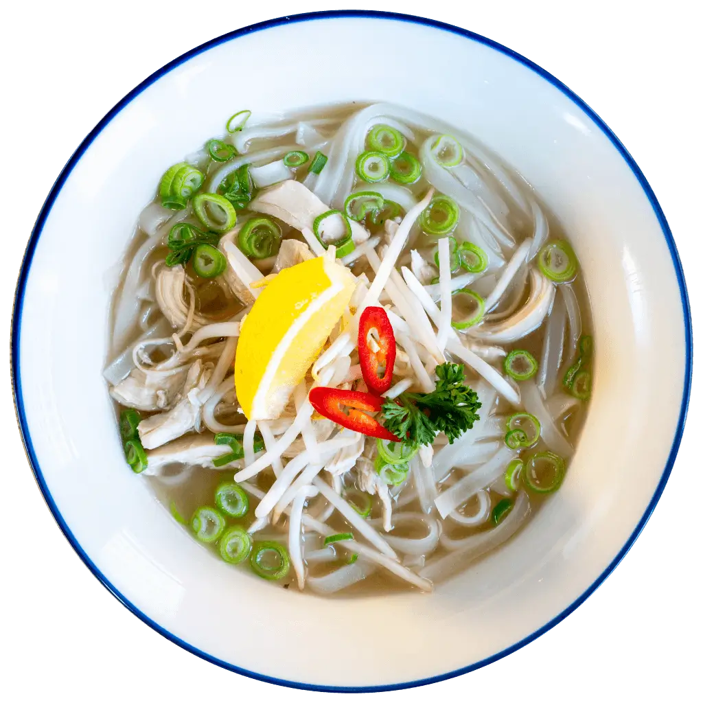 Pho (Hot Vietnamese noodle soup)